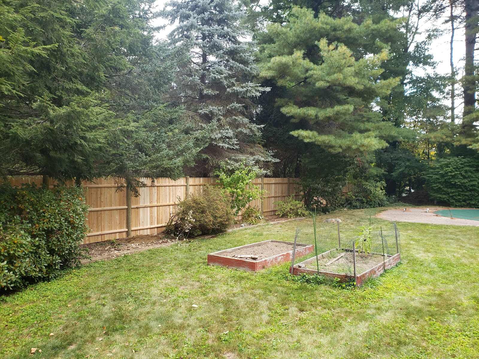New natural-cedar stockade fence turning a corner among large pine and spruce trees, with two weathered raised garden beds in the foreground and a covered in-ground pool visible in the background.