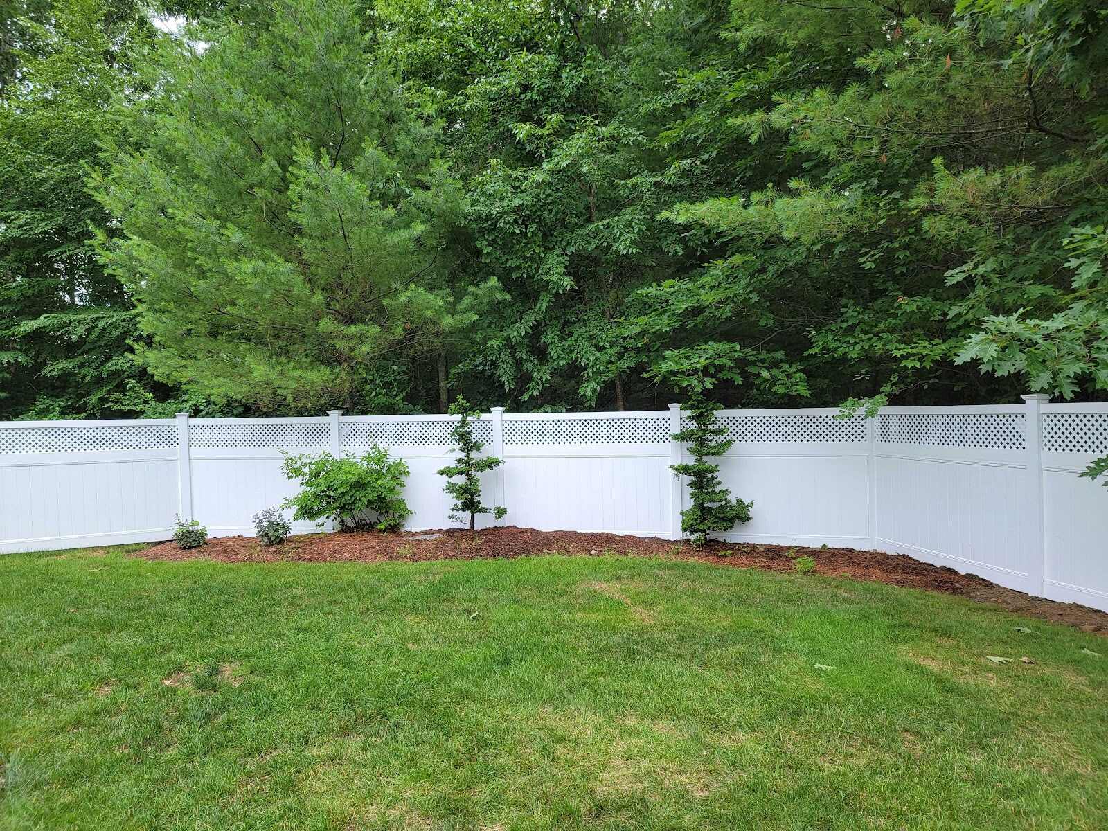 White vinyl privacy fence with a diamond-lattice top turning a corner around a freshly mulched planting bed with young shrubs and saplings, dense woods behind, manicured lawn in front.