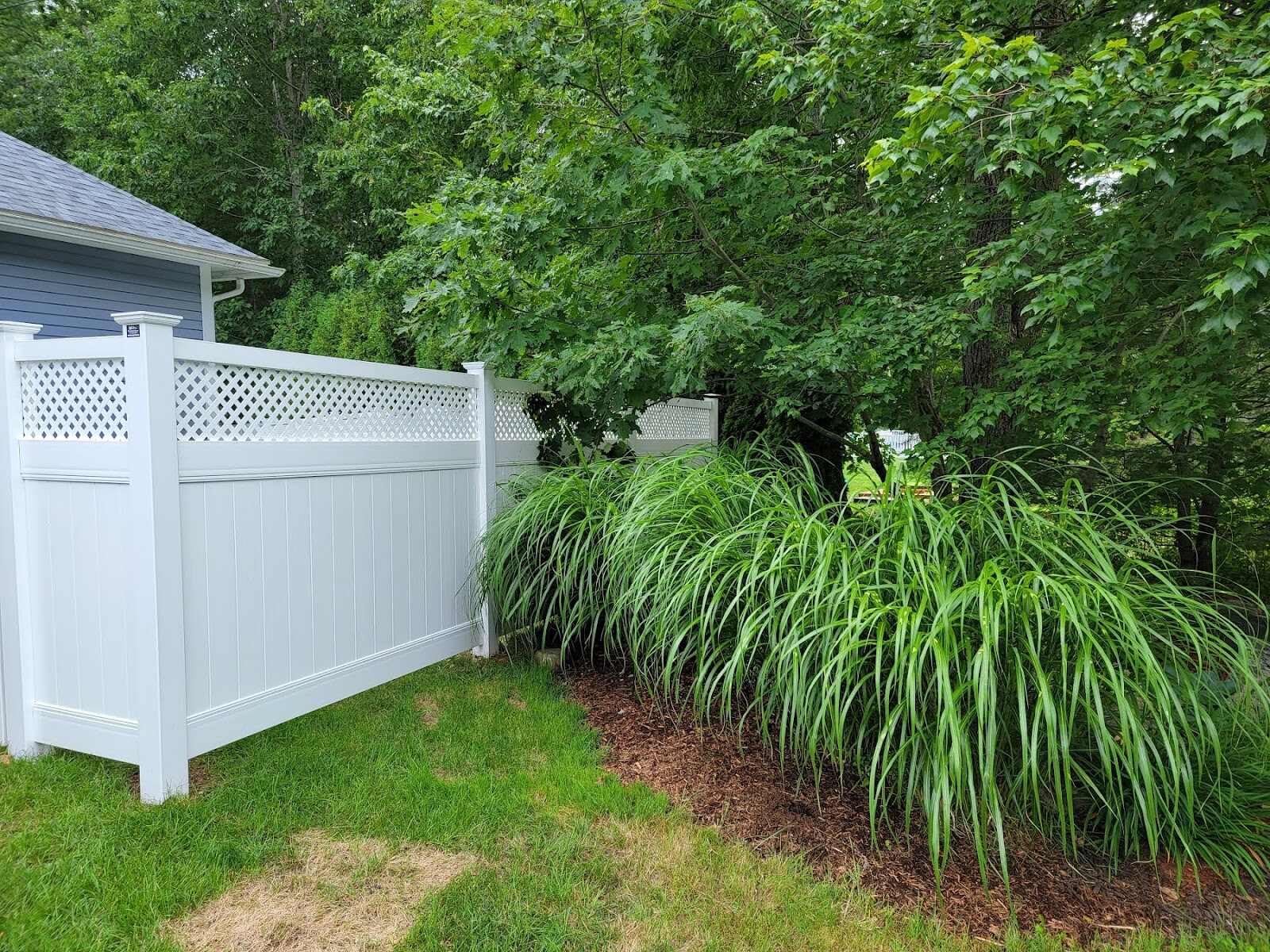 White vinyl privacy fence corner with a diamond-lattice top panel beside a blue-gray house, fronted by tall ornamental grasses and mulched planting bed under mature shade trees.